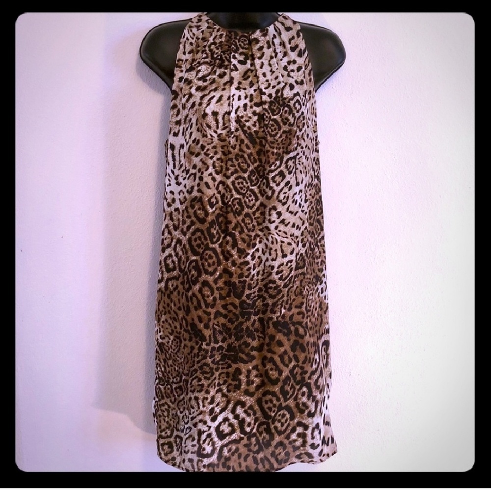ZARA Leopard dress